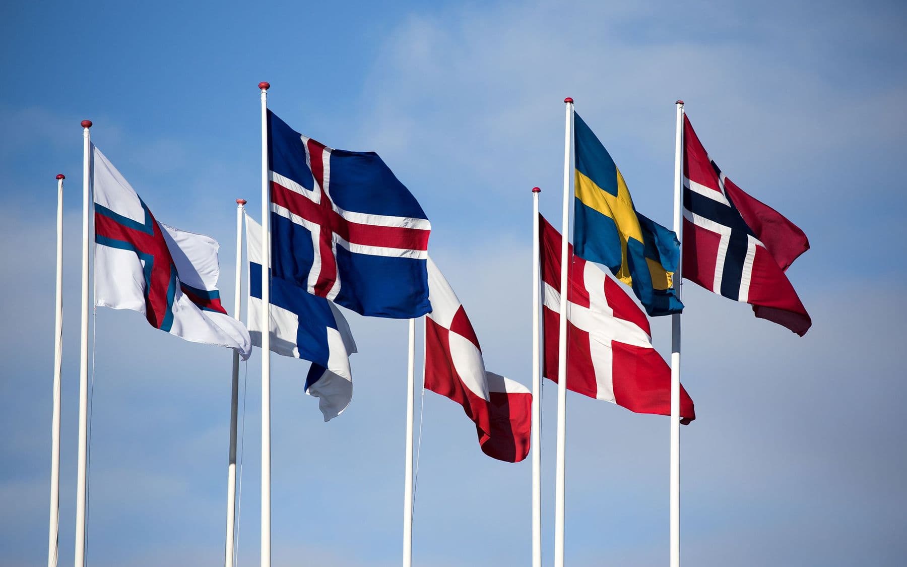 Fánar sjö Norðurlanda blakta í vindinum.