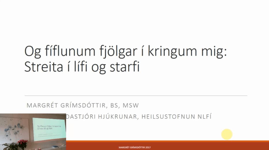 Hádegisfyrirlestur: Streita