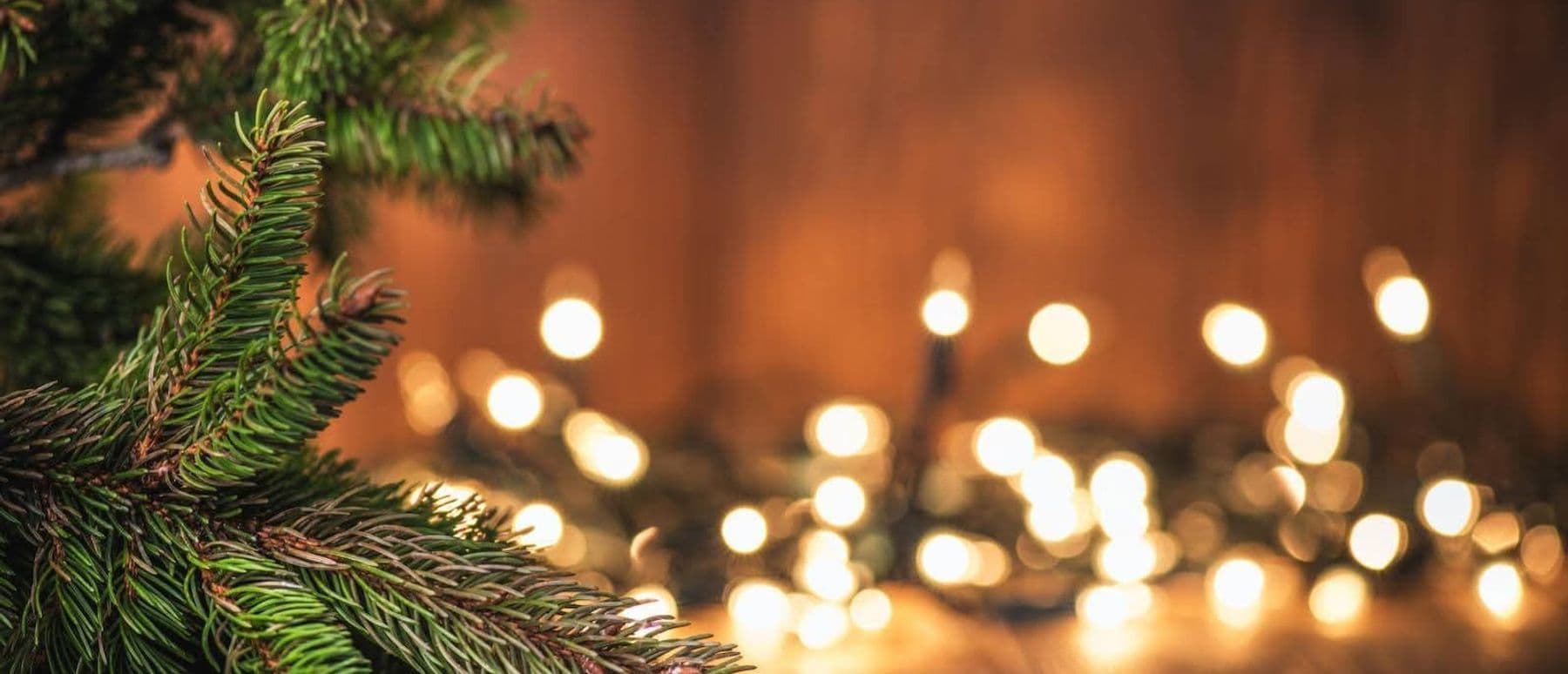 Mynd af jólatré og jólaljósum.