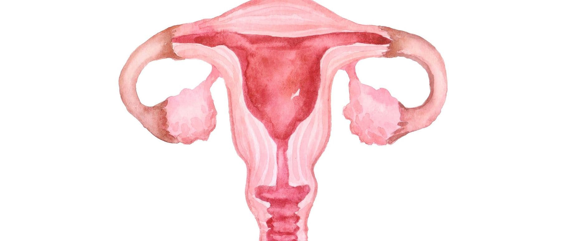 17. nóvember - baráttudagur gegn krabbameini í leghálsi 