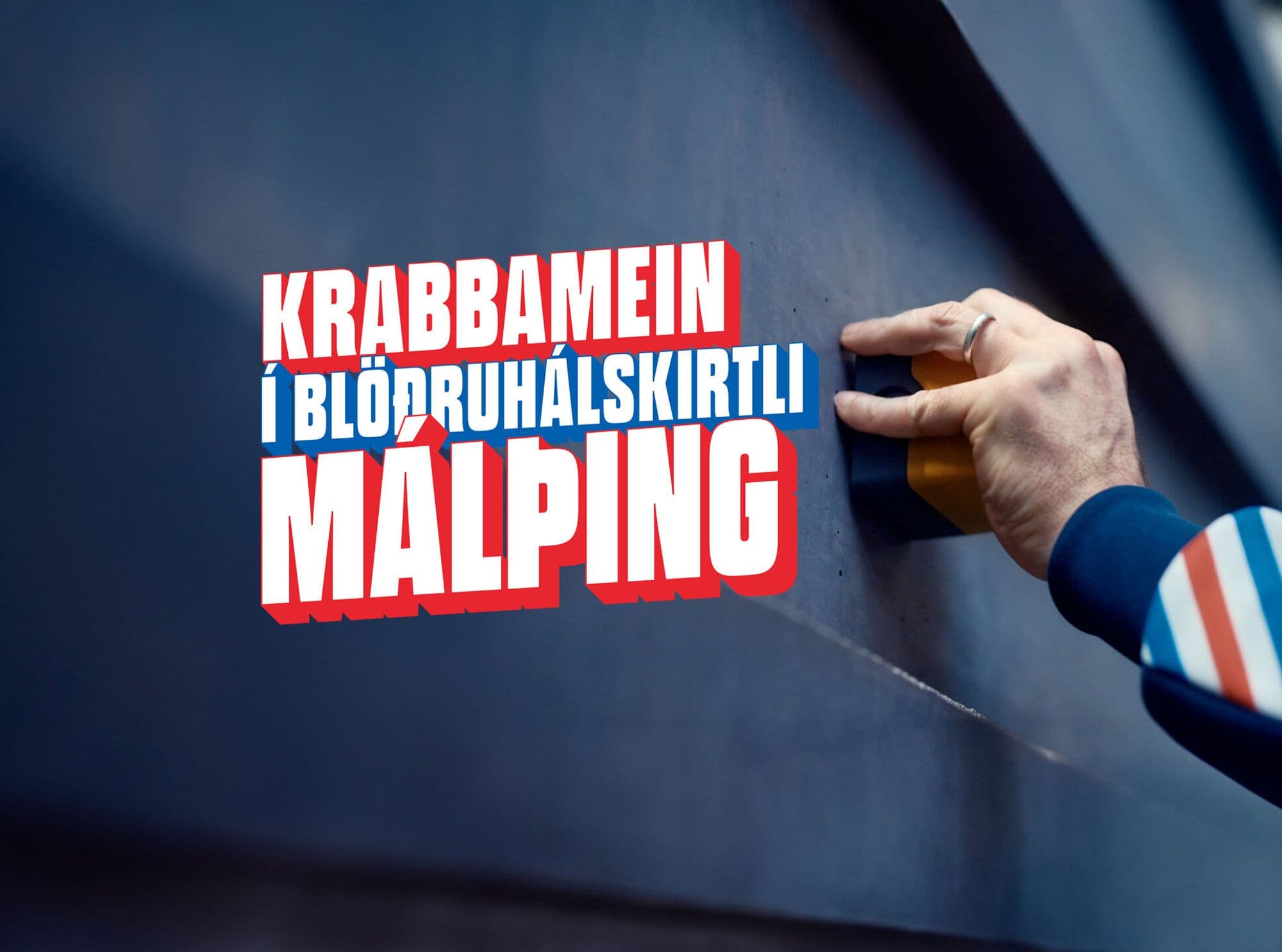 malthing-frettamynd3