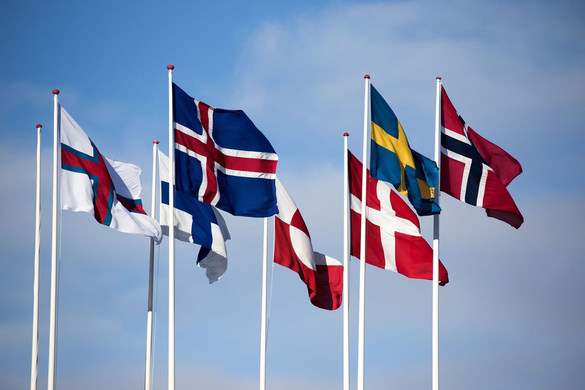 Fánar sjö Norðurlanda blakta í vindinum.