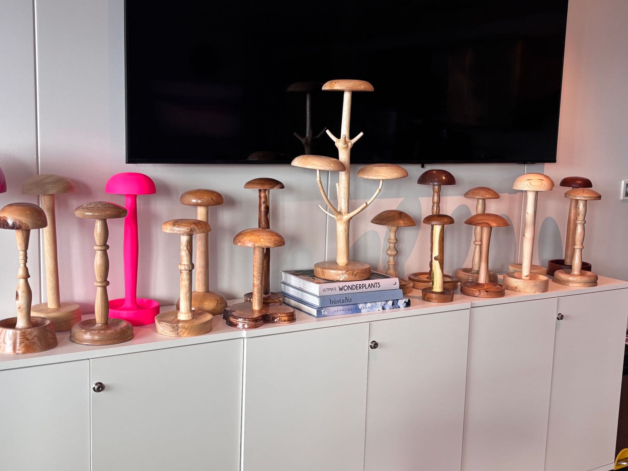 Trérennismiðir á Íslandi gefa hárkollustanda