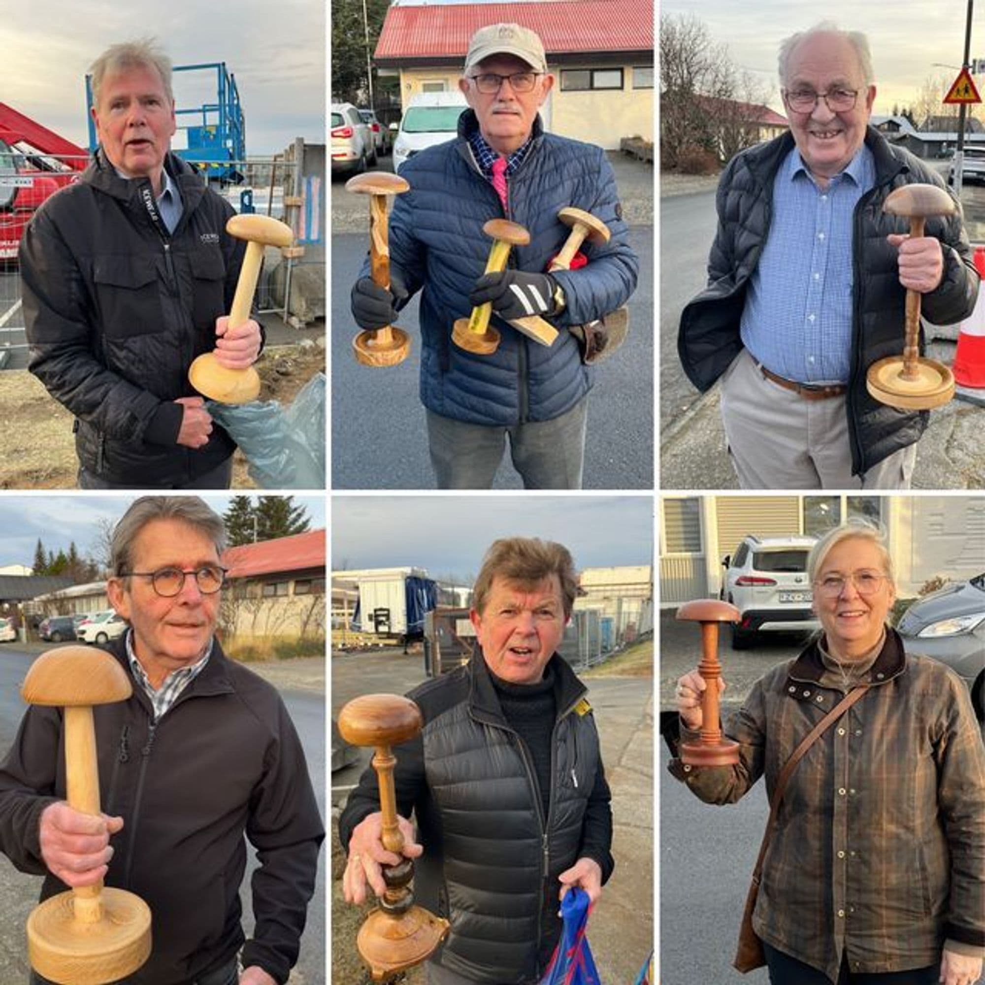 Trérennismiðir á Íslandi gefa hárkollustanda